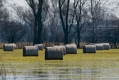 041_Biebrza - kwiecien 2011